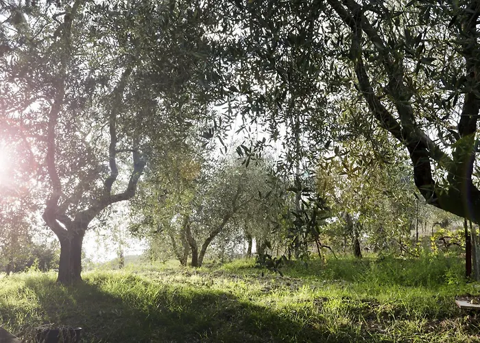 Country House Sofiavillas