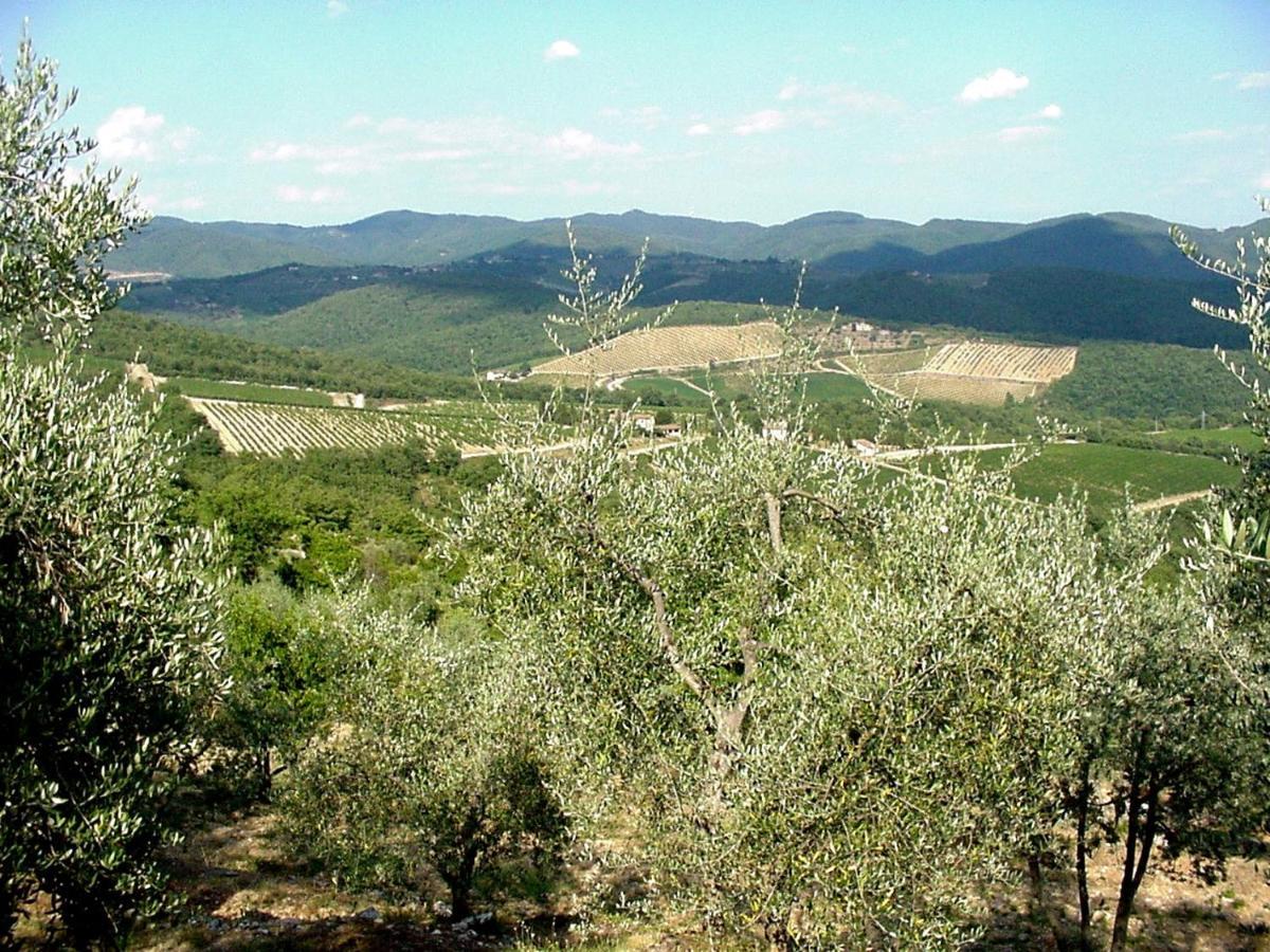 Sofiavillas * Gaiole in Chianti